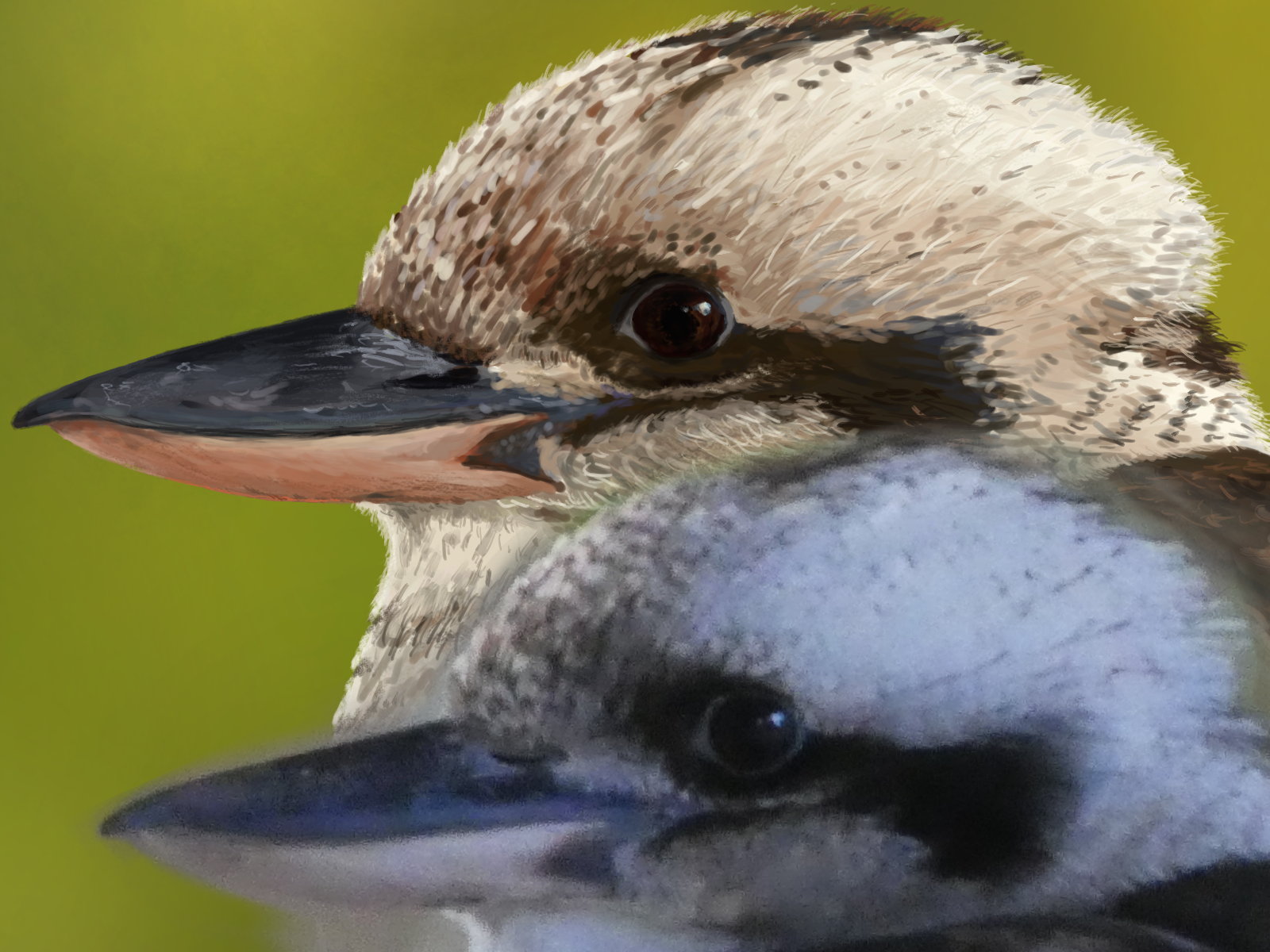 The heads of the drawing and the photo set next to each other. The drawing is crisp with clear edges and lines, while the photo is a blurry and speckled mess.