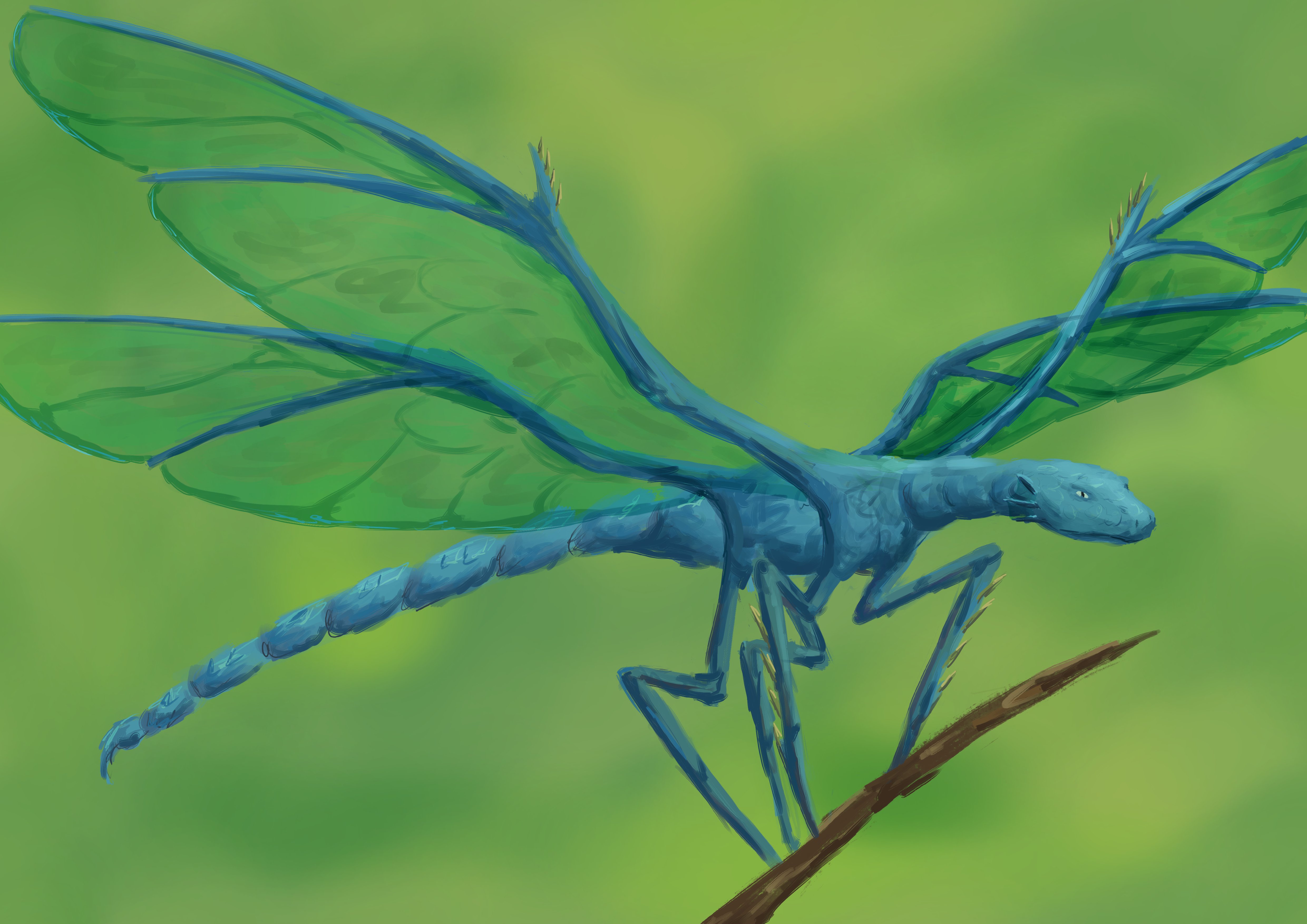 A vaguely dragon-like dragonfly