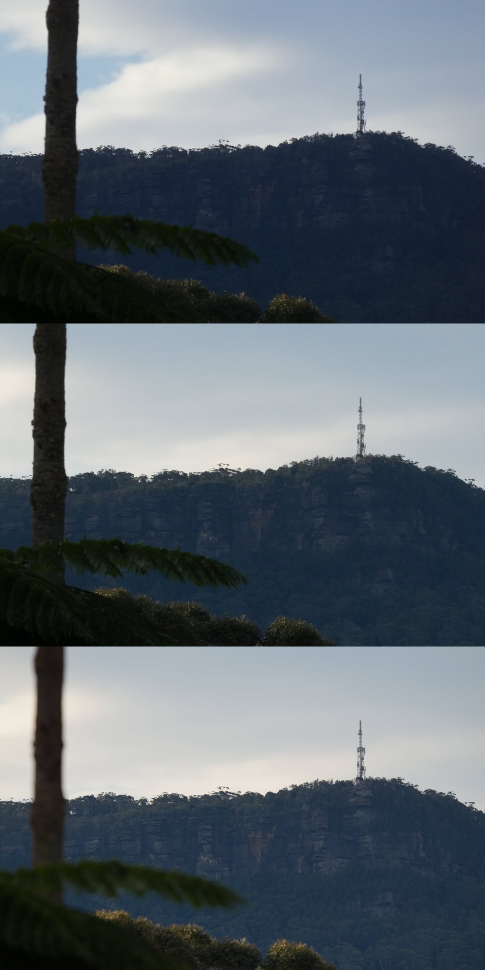 Bright white sky above a hazy blue cliff face, with a broadcast tower emerging from the right side of the cliff. A tall trunk and fern fronds cover the left of the photos. In the bottommost photo, the trunk and fronds are blurred notably.