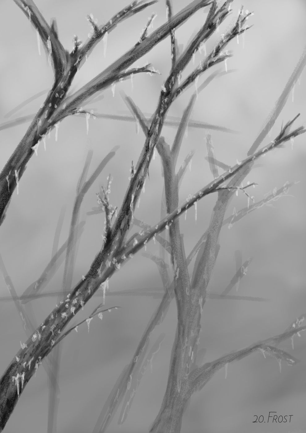 Leafless branches with spikes of ice